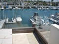IMG_1749
